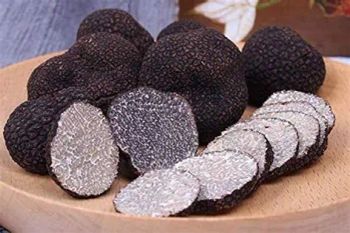 Dried Black Truffles - Export Grade from HK JINYIDA TRADING CO.,LIMITED Dried Black Truffles - Export Grade - HK JINYIDA TRADING CO.,LIMITED - Hong Kong